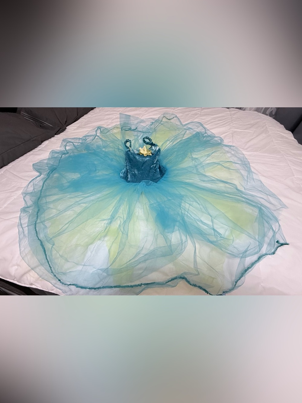 Blue and Light Green Tulle Princess Dress-Up Costume